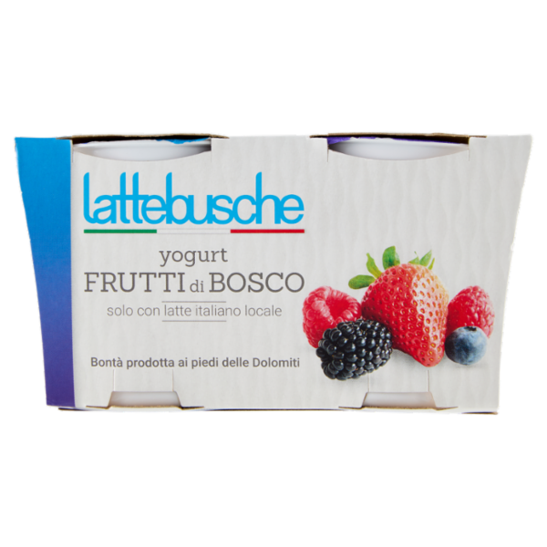 YOGURT LATTEBUSCHE INTERO FRUTTI DI BOSCO GR 125 X 2